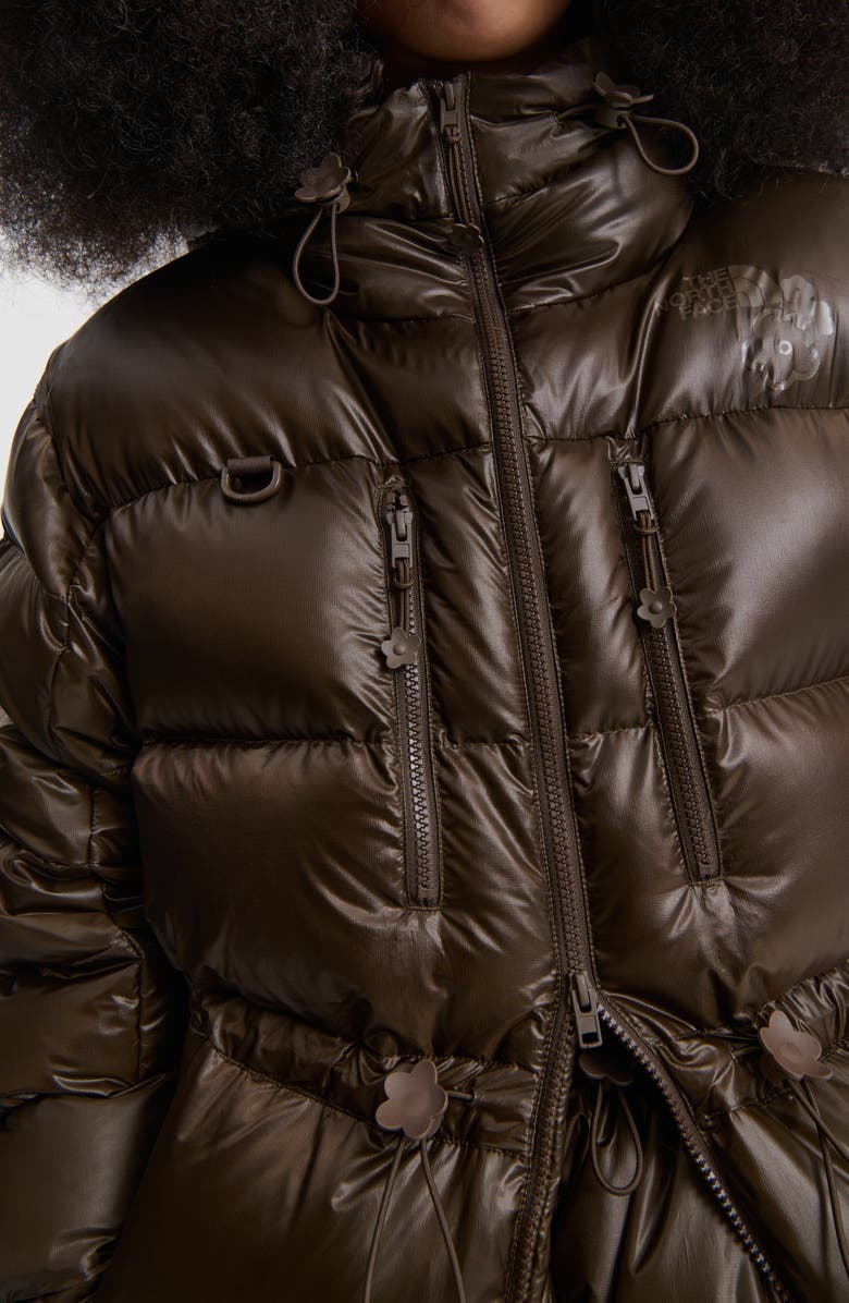 Cecilie Bahnsen x The North Face Himalayan Quilted Down Parka, Alternate, color, Soil Brown