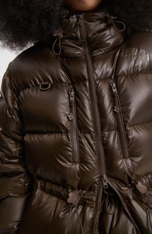 Cecilie Bahnsen X The North Face Himalayan Quilted Down Parka In Brown