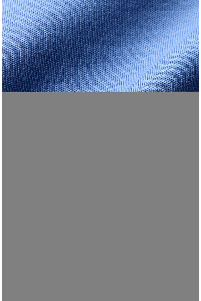 Palmer Solid Pima Cotton Crewneck T-Shirt, Alternate, color, COASTAL FJORD