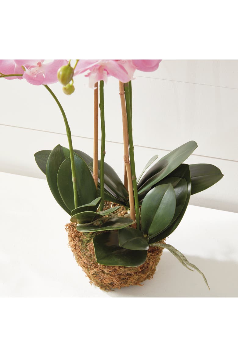Phalaenopsis Orchid Faux (Fake) Drop-In 30", Alternate, color, Pink