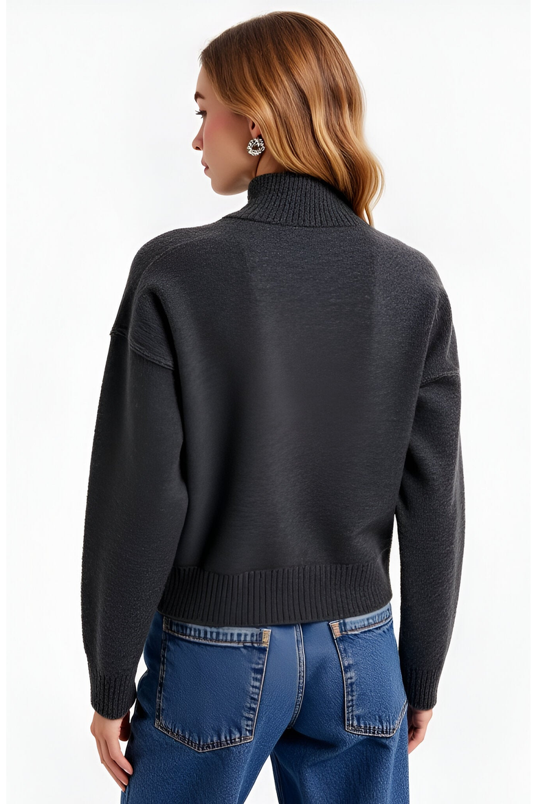 Mock Neck Raglan Sleeve Wide Ribbed Hem Sweater, Alternate, color, Grey