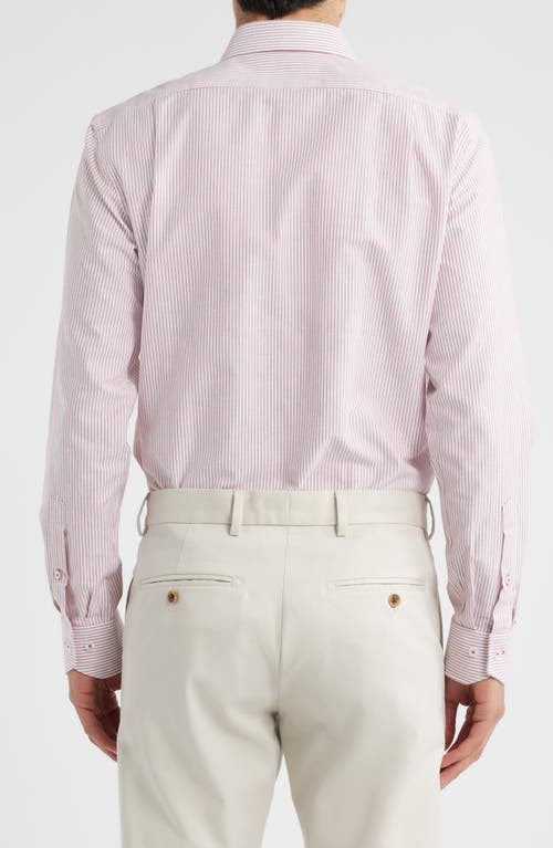Lorenzo Uomo Trim Fit Stripe Cotton Oxford Cloth Dress Shirt In Pink