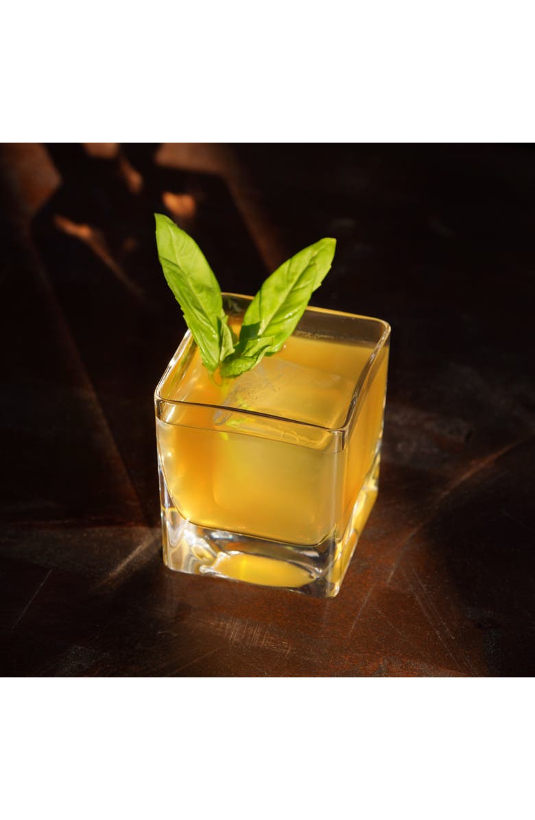 Viski Braque Crystal Rocks Glasses Set of 2, Alternate, color, Clear