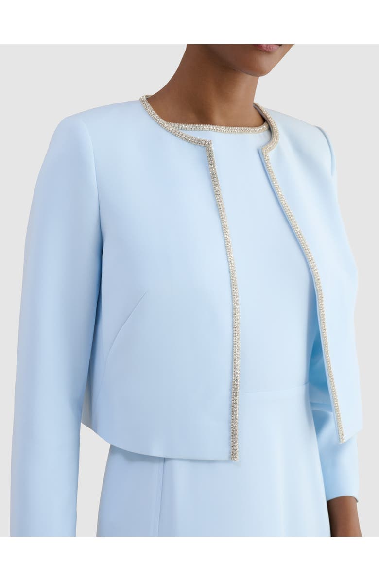 HOBBS LONDON Beatrix Embellished Jacket, Main, color, Pale Blue