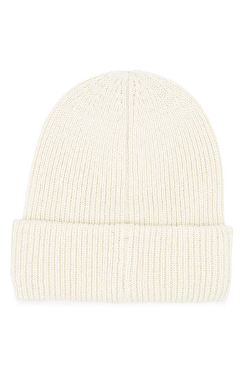 Arctic Fox & Co. Arctic Fox & Co The Recycled Bottle Beanie In White