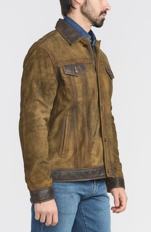 Flynt Distressed Leather Jacket In Toffee