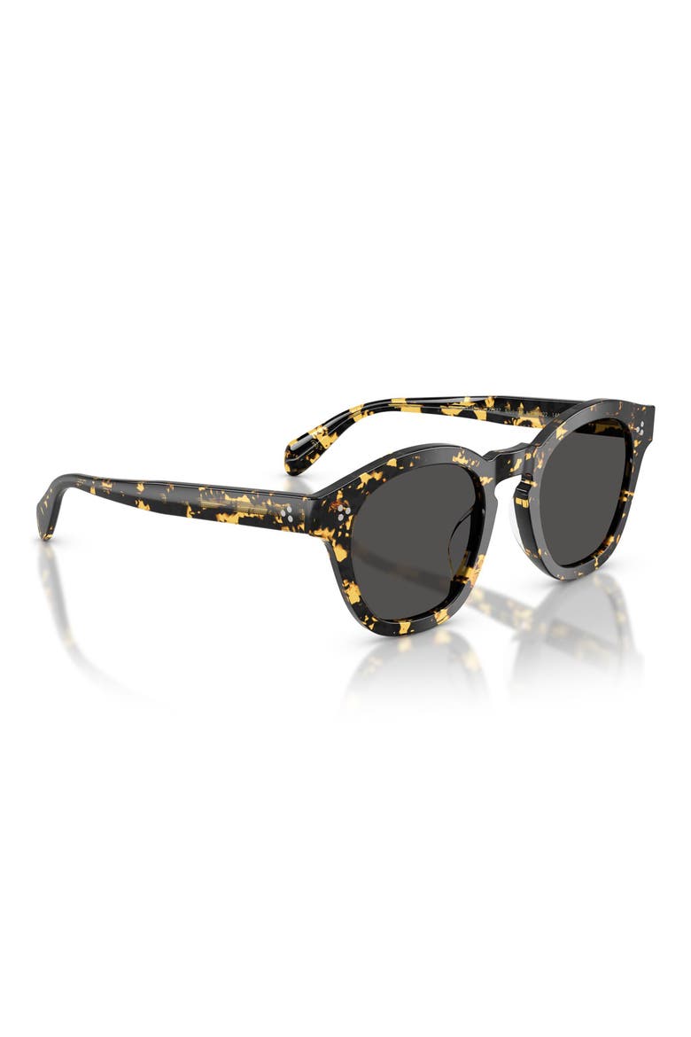 Boudreau La 48mm Round Sunglasses, Alternate, color, TOKYO TORTOISE / GREY