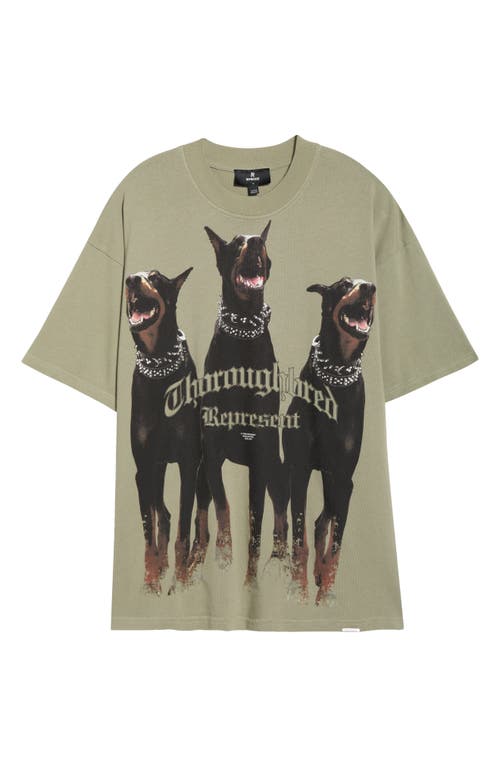 Represent Thoroughbred Oversize Cotton Graphic T-shirt In Green