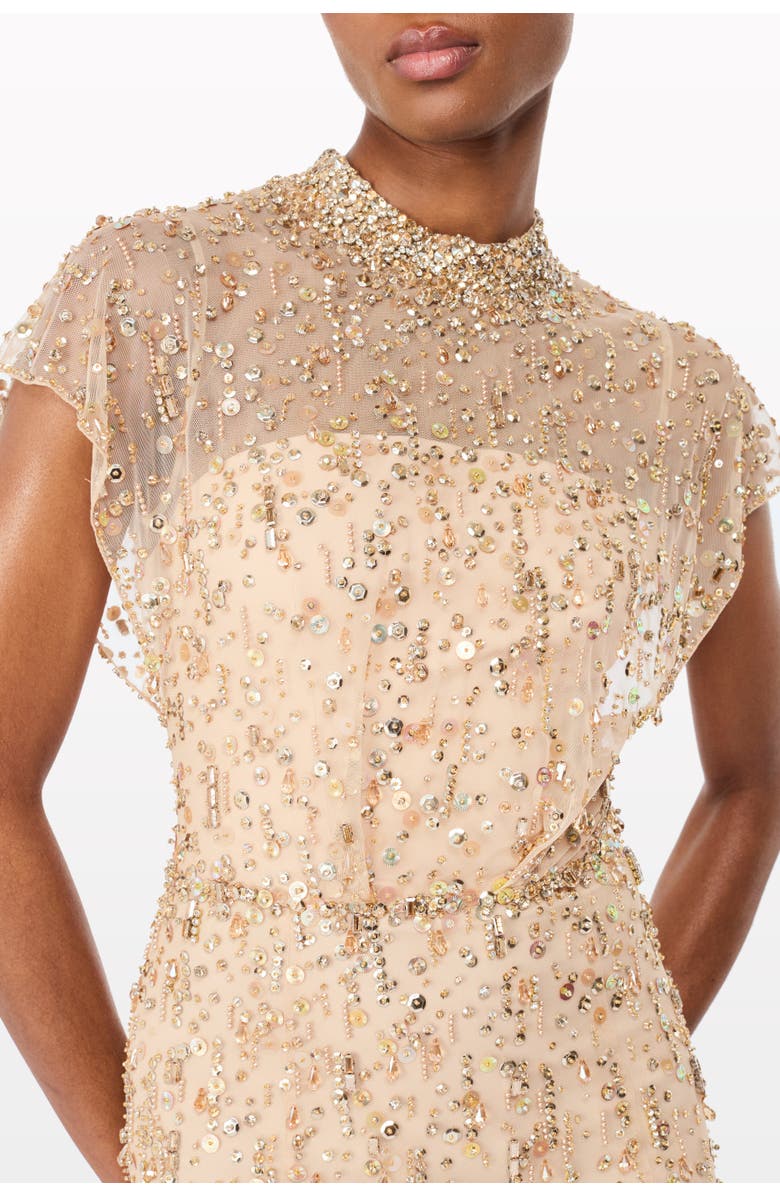Jenny Packham Crystal Drop Embellished High-Neck Maxi Dress, Alternate, color, Illusion