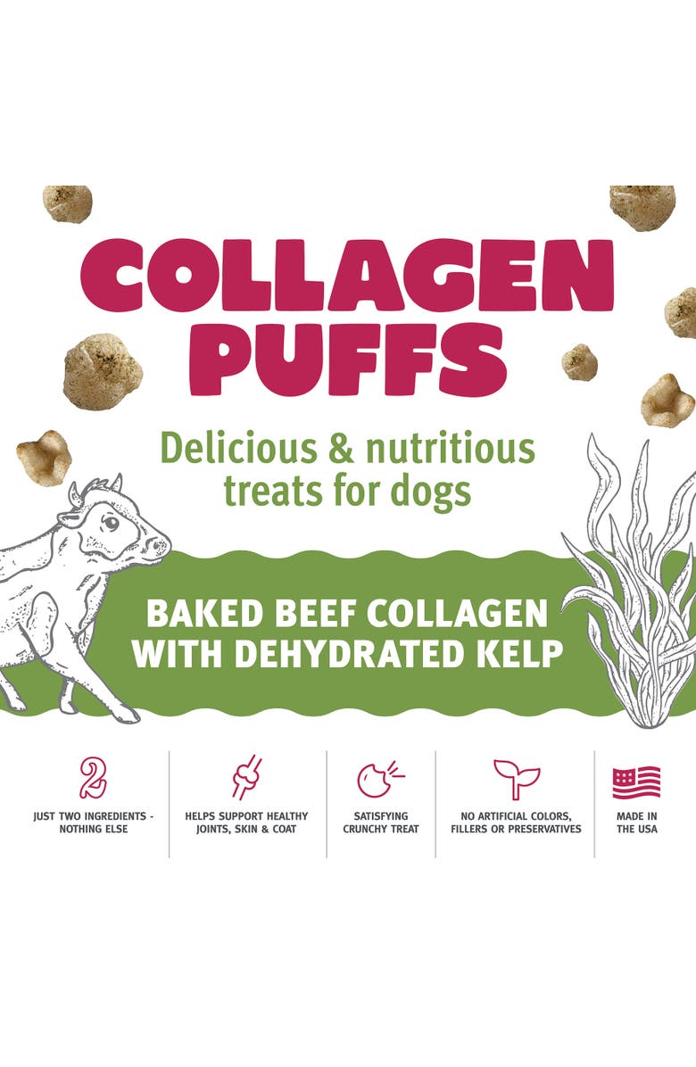 ICELANDIC+ Baked Beef Collagen With Dehydrated Kelp 1.3oz Small Dog Treats, Alternate, color, Multicolored