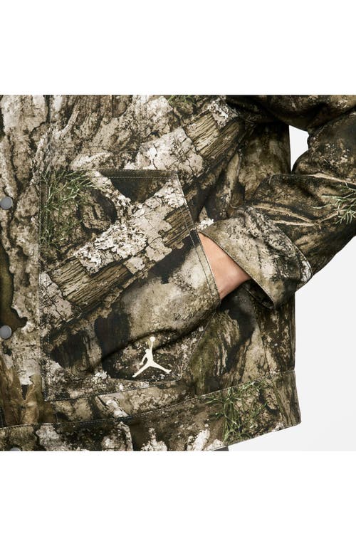 Jordan Flight Chicago Realtree Jacket In Multi