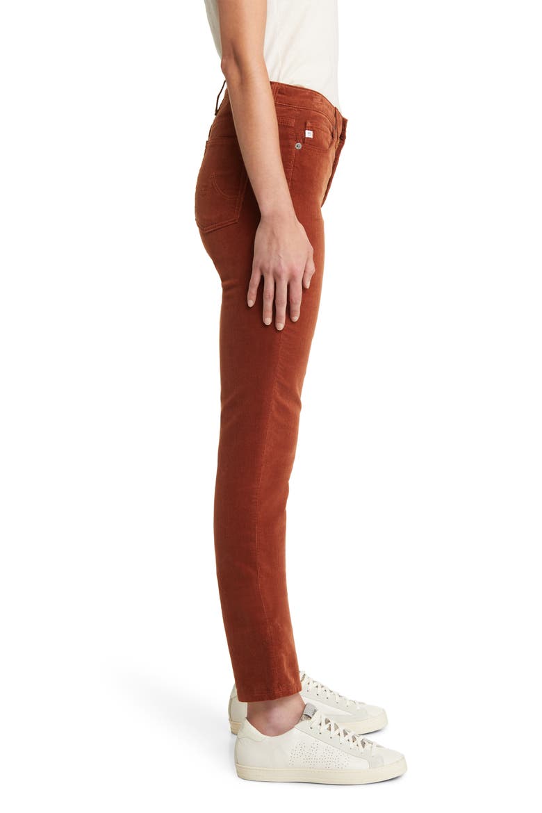'Prima' Corduroy Skinny Pants, Alternate, color, SPICED MAPLE