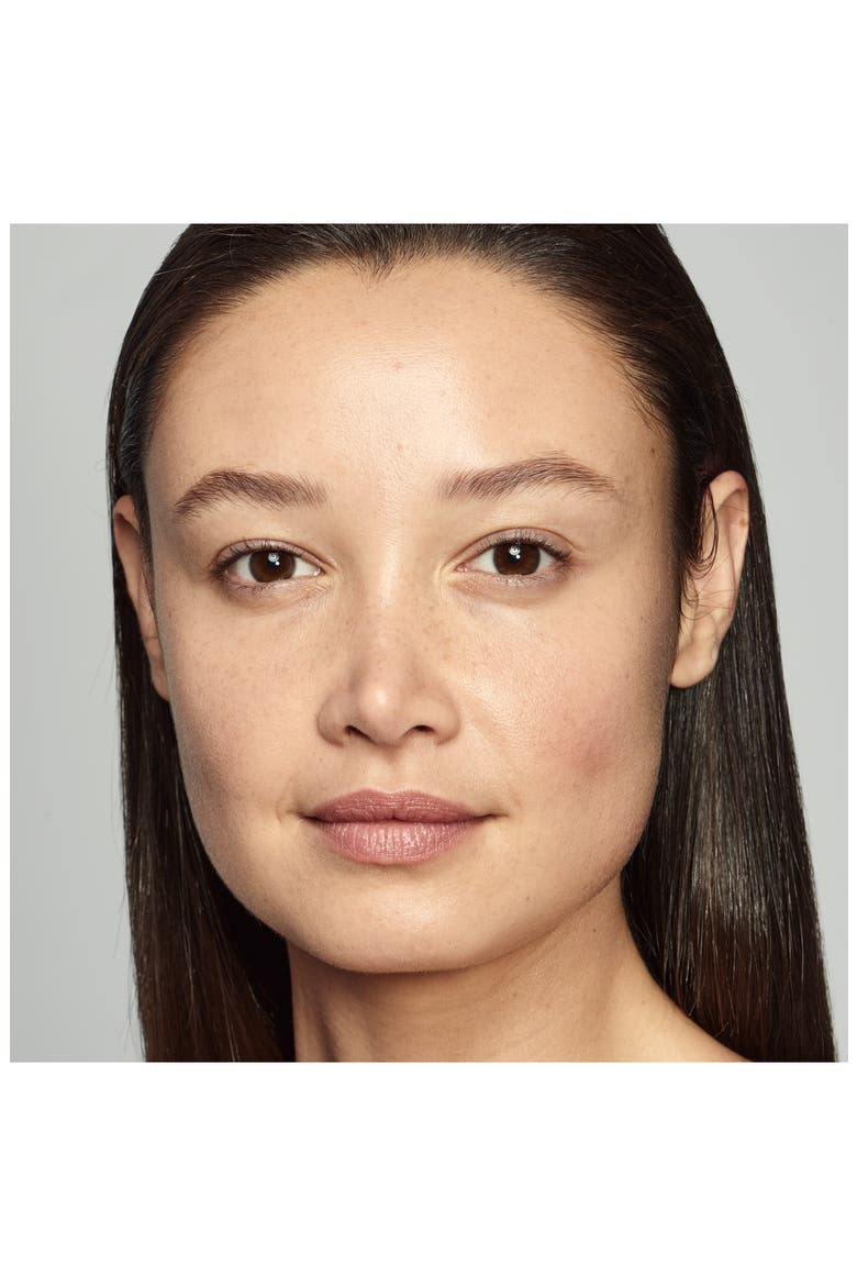 Double Wear Light Soft Matte Hydra Makeup Foundation, Alternate, color, 3C2 PEBBLE