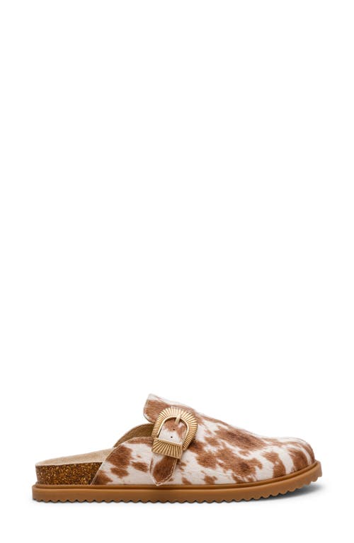 Dolce Vita Dv By Yeehaw Faux Calf Hair Mule In Animal Print