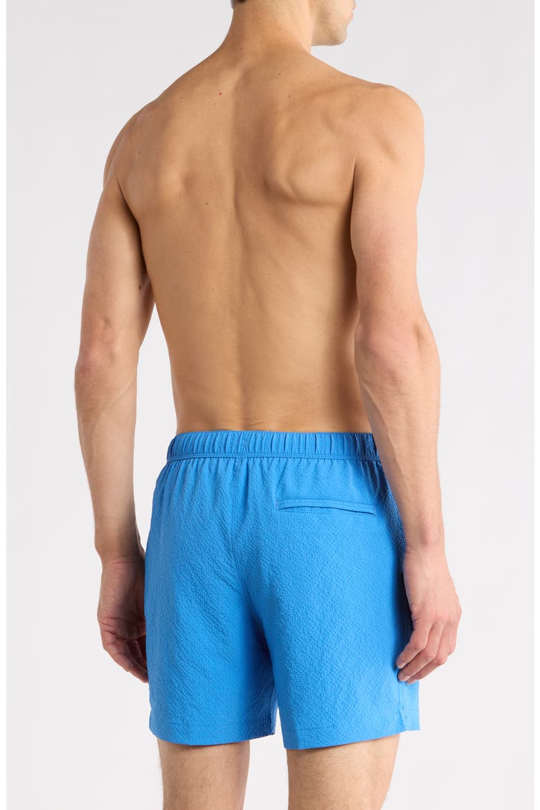 Amalfi Shores Swim Trunks, Alternate, color, CAMPANULA
