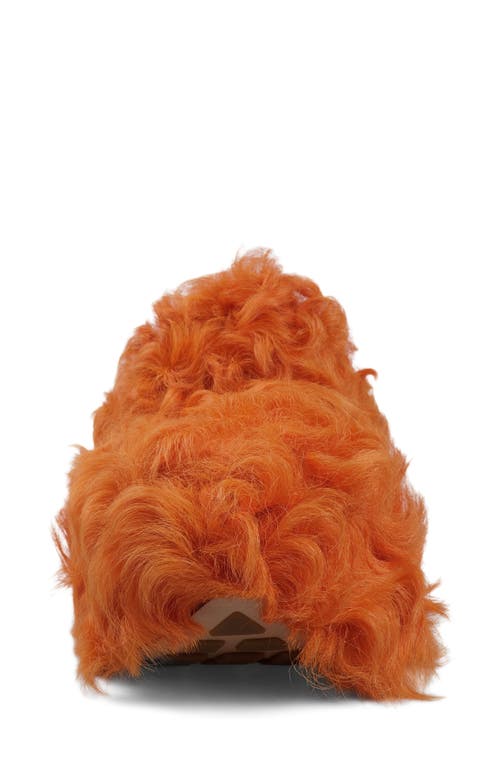 Zigi Fauna Genuine Shearling Platform Clog Slipper In Orange