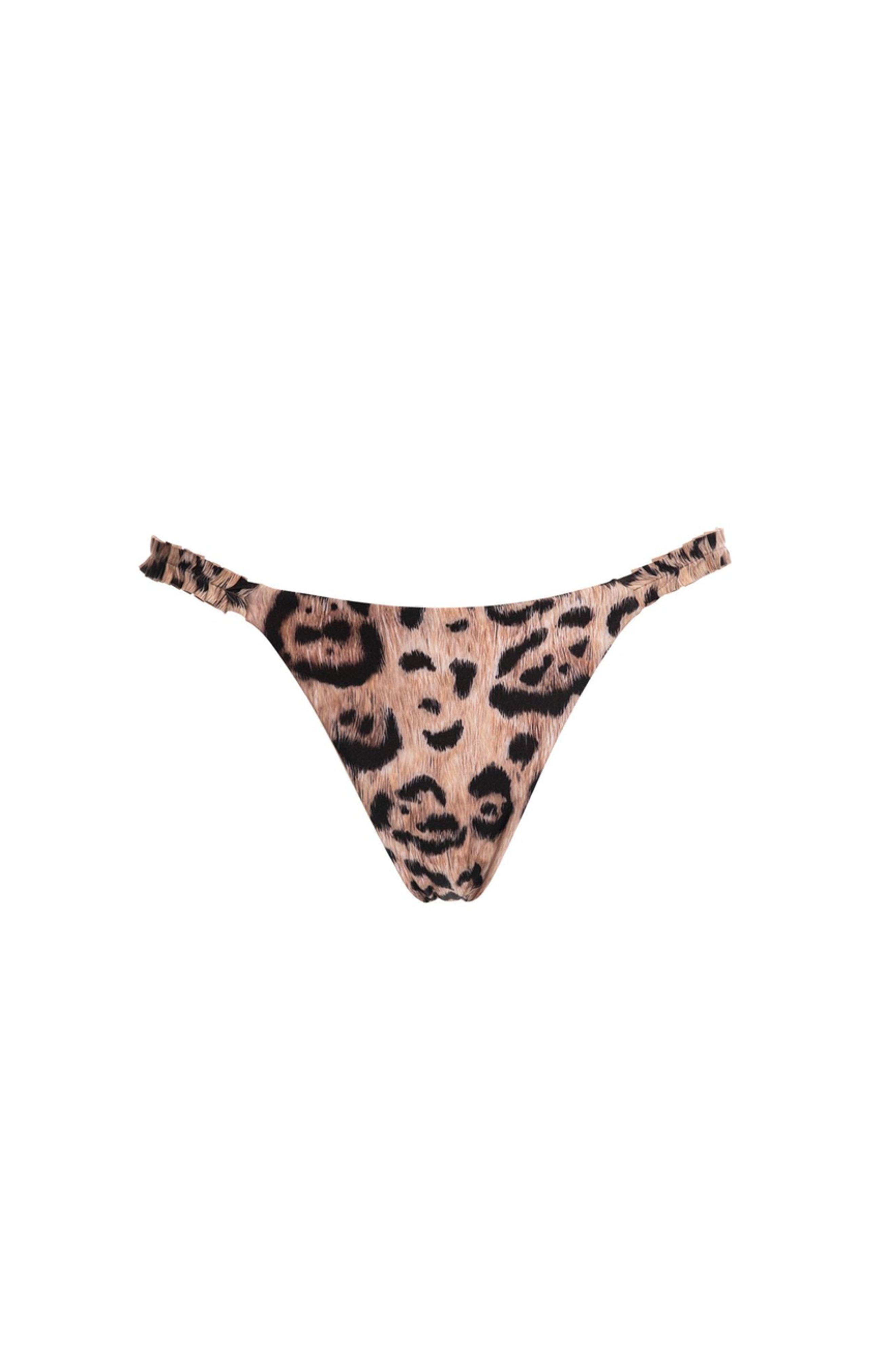 Agua by Agua Bendita Vera Jaguar Bikini bottom in Multi at Nordstrom, Size X-Small