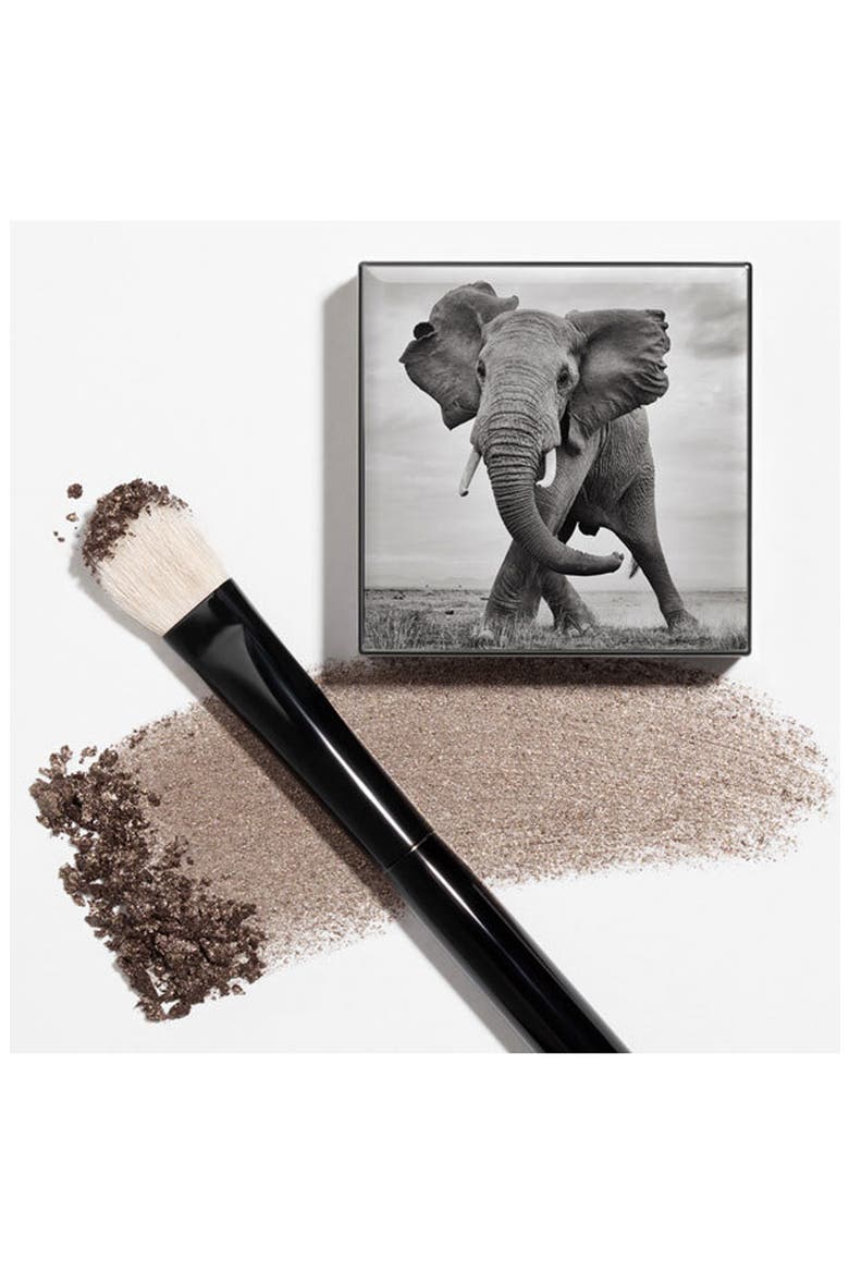 Shade & Sweep Eye Brush, Alternate, color, NONE