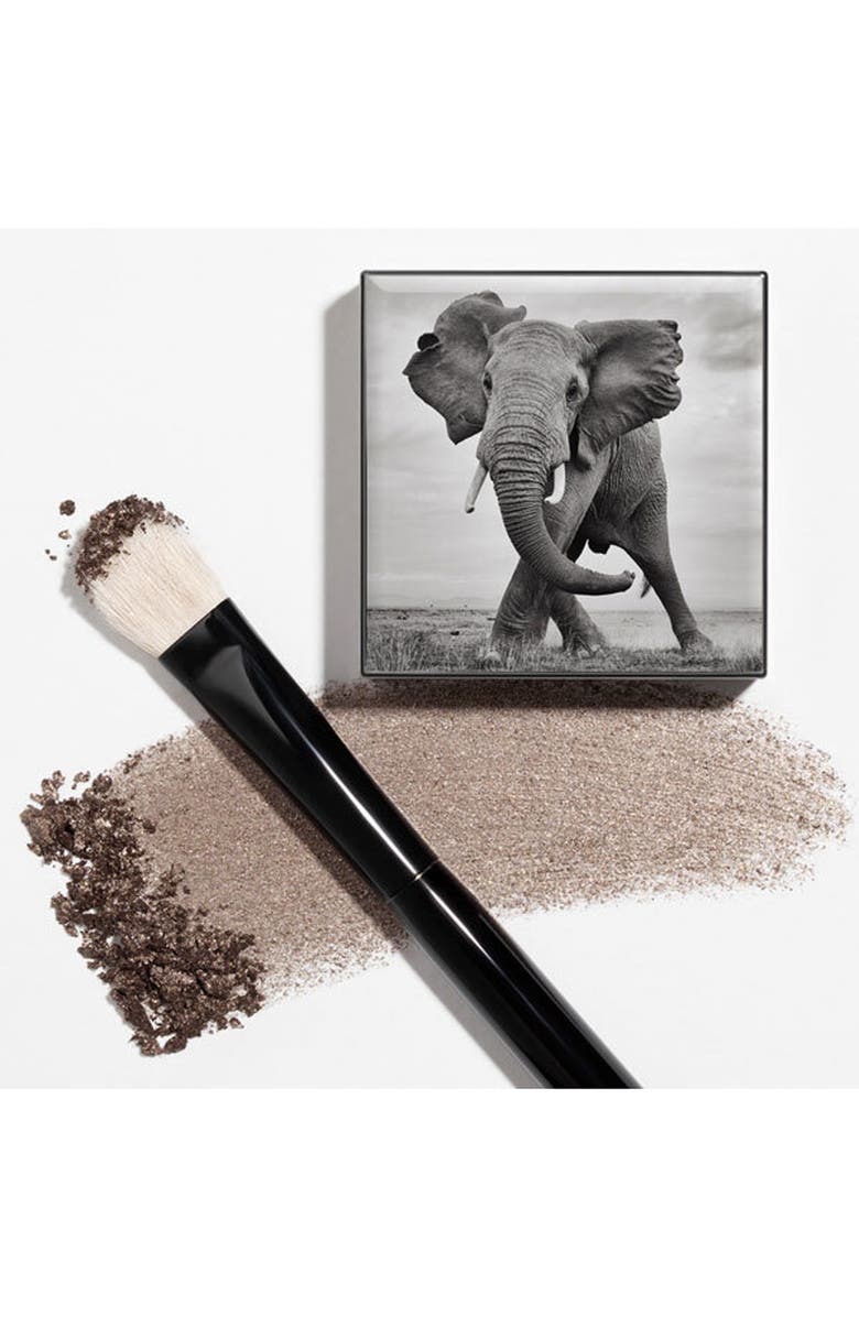 Chantecaille Shade & Sweep Eye Brush, Alternate, color,