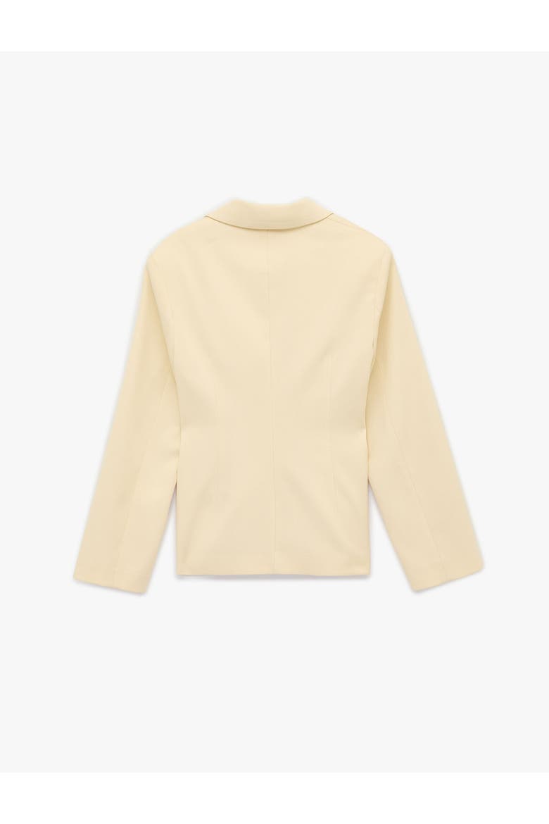 Long Sleeve Notched Collar Blazer, Alternate, color, YELLOW