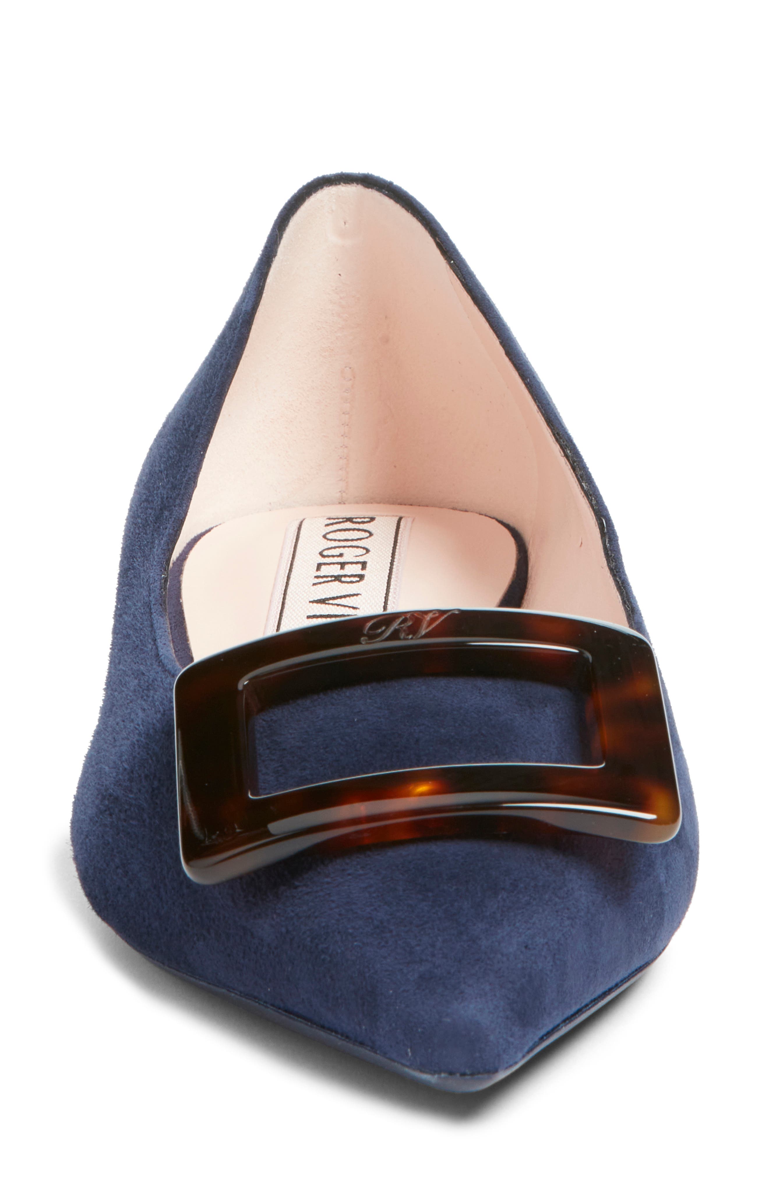 Roger Vivier Gommettine Pointed Toe Ballet Flat, Alternate, color, Galassia Scuro
