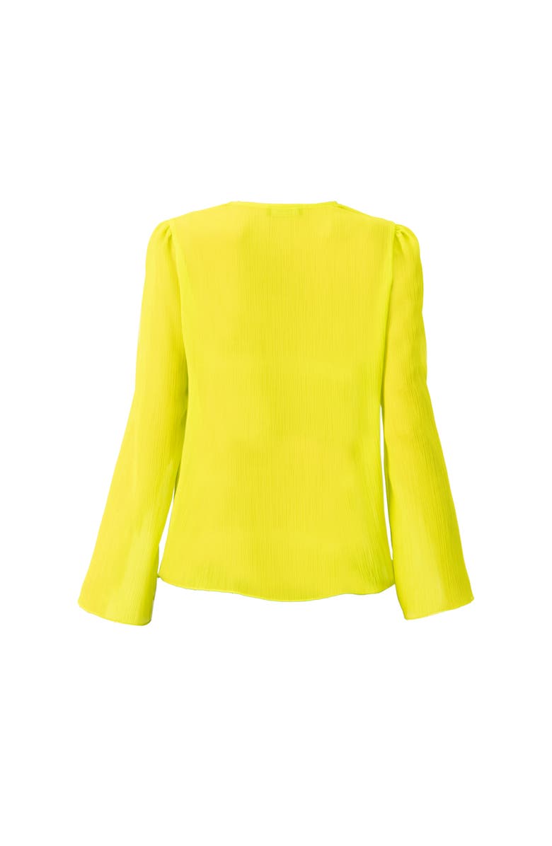 IVONNE Long Sleeve V-Neck Tunic Blouse, Alternate, color, Light Green