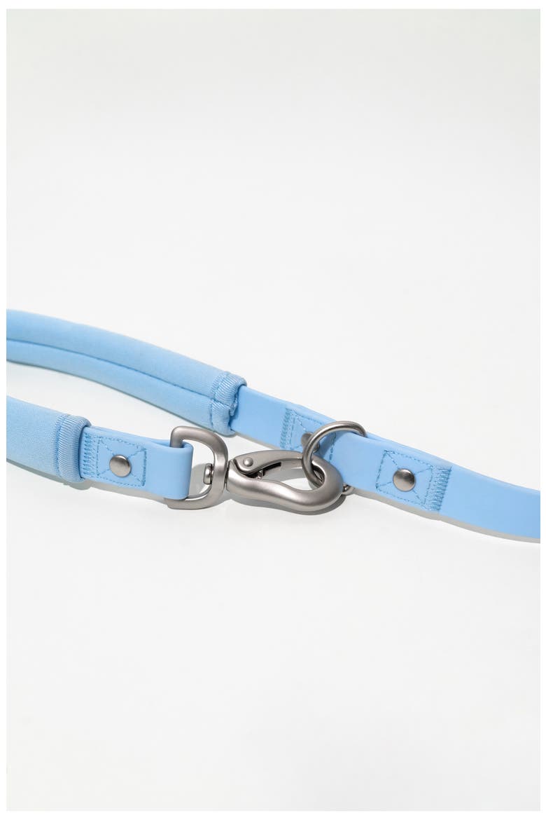 Dog Leash & 15 oz. Water Bottle Set, Alternate, color, SKY BLUE