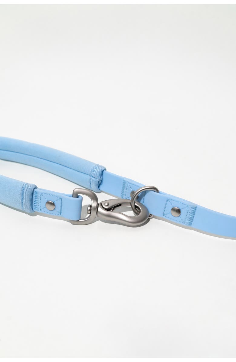 Springer Dog Leash & 15 oz. Water Bottle Set, Alternate, color, Sky Blue