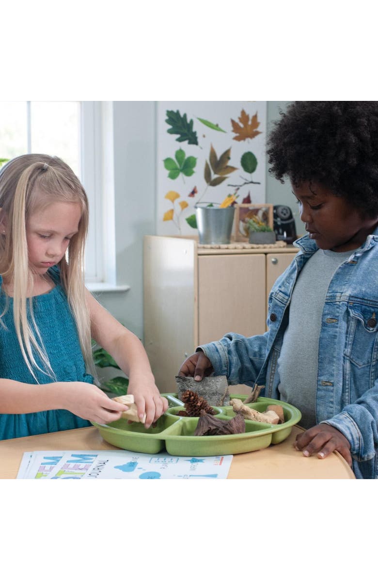Kaplan Early Learning Company Loose Parts Sorting Trays - Set of 4 - Earth-toned, Alternate, color, Earth-Toned