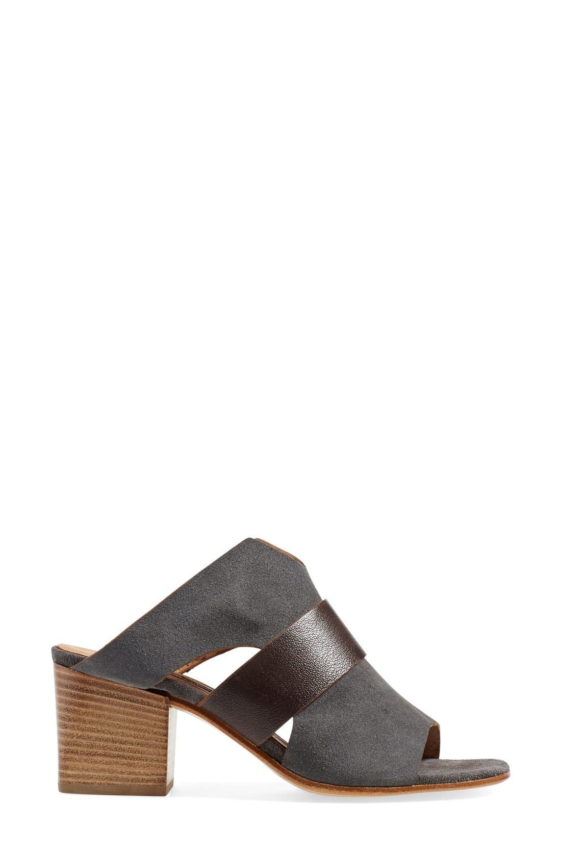 Alberto Fermani 'Teodora' Slide Sandal, Alternate, color, 