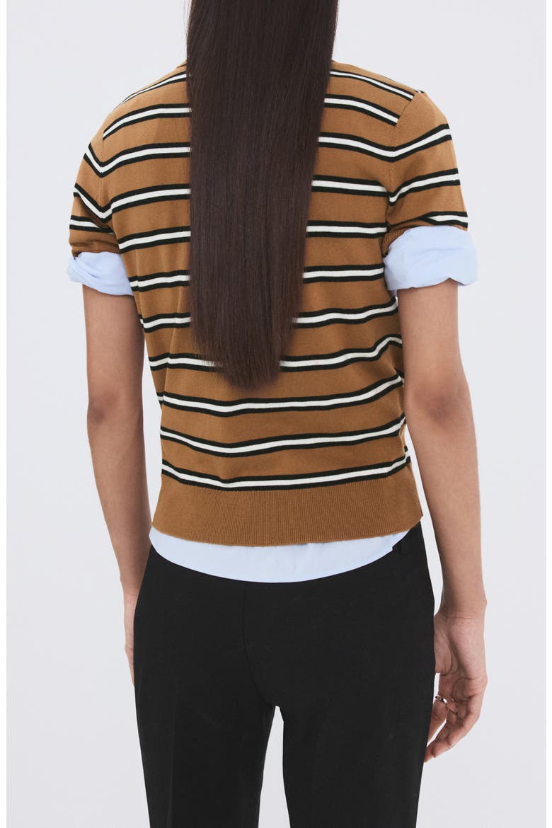 Stripe Polo Sweater, Alternate, color, CARAMEL