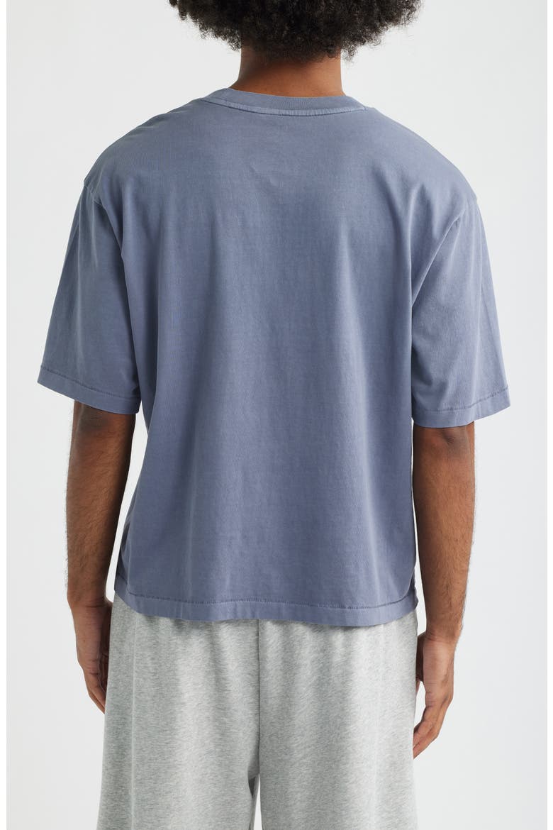 Garment Dyed Boxy Crop T-Shirt, Alternate, color, GREY FOLKSTONE