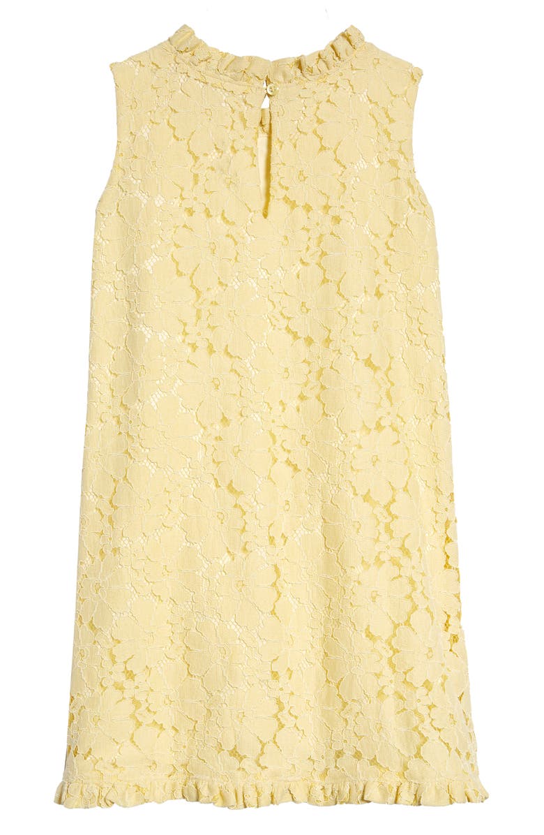 Rachel Parcell Lace Shift Dress, Alternate, color, 