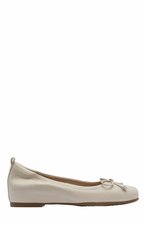 Abeo Cadence Bow Ballet Flat In Gray