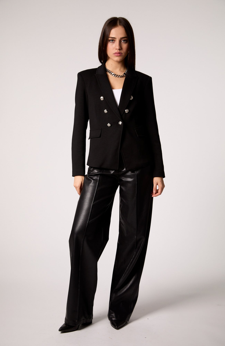 BLUE REVIVAL Helen Double-Breasted Blazer with Removable Hoodie Insert, Alternate, color, Black