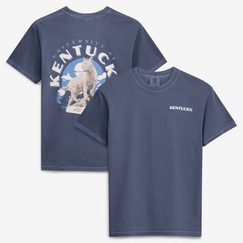 Men's  Navy Kentucky Wildcats Comfort Colors Team Statue T-Shirt