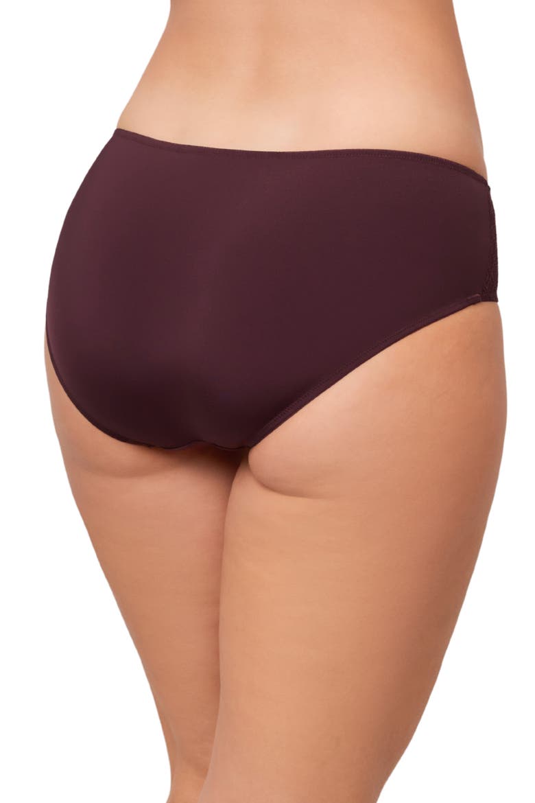 Lace & Microfiber Hipster Panties, Alternate, color, FUDGE