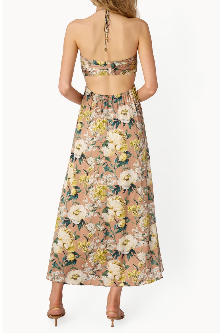 Calliope Floral Cutout Silk Satin Gown, Alternate, color, MORNING FLOURISH
