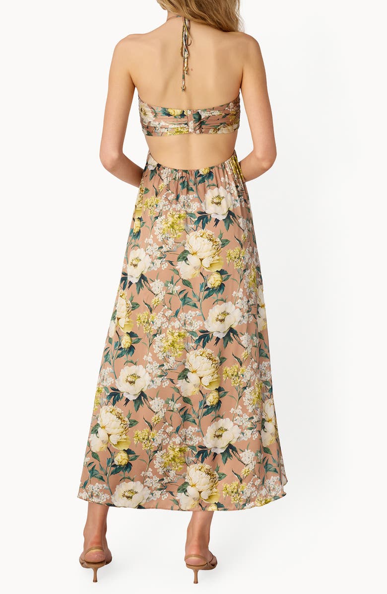 CAMI NYC Calliope Floral Cutout Silk Satin Gown, Alternate, color, 