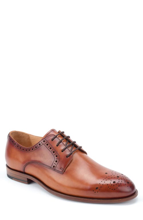 Warfield & Grand Cassette Medallion Toe Derby in Tan  product