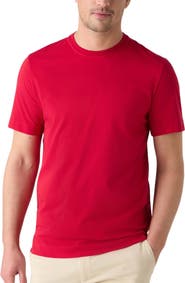 Robert Talbott Stretch Jersey Dean Tee
