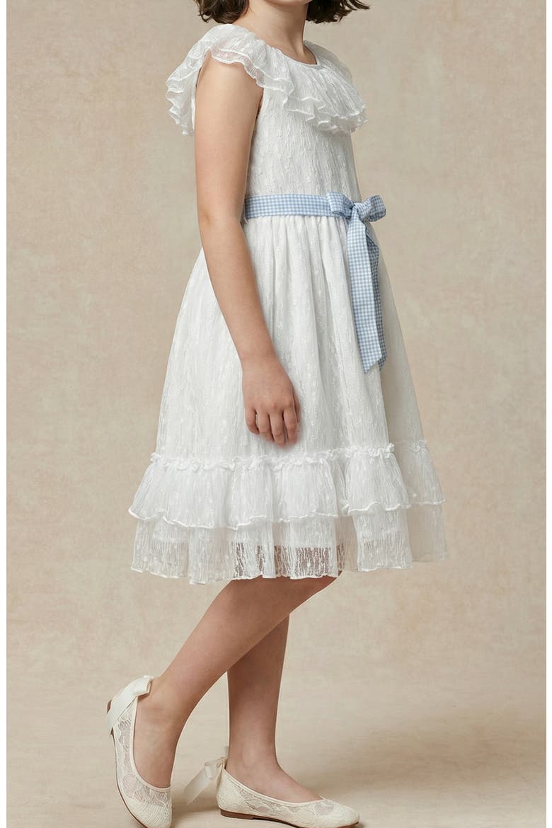 Kids' Ruth Clip Dot Chiffon Dress, Alternate, color, WHITE/ BLUE