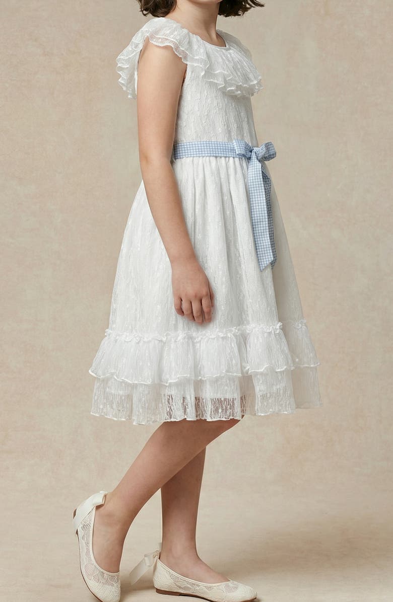 Pippa & Julie Kids' Ruth Clip Dot Chiffon Dress, Alternate, color, White/ Blue