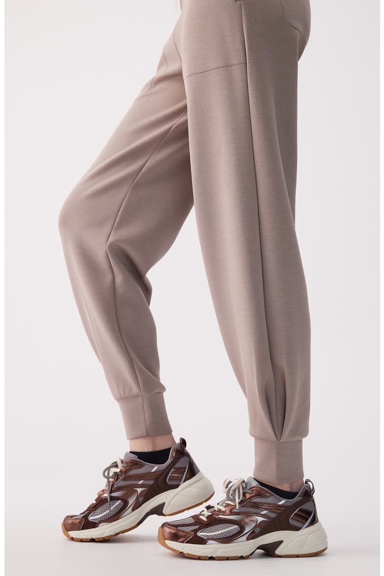 Flow Joggers, Alternate, color, PEBBLE