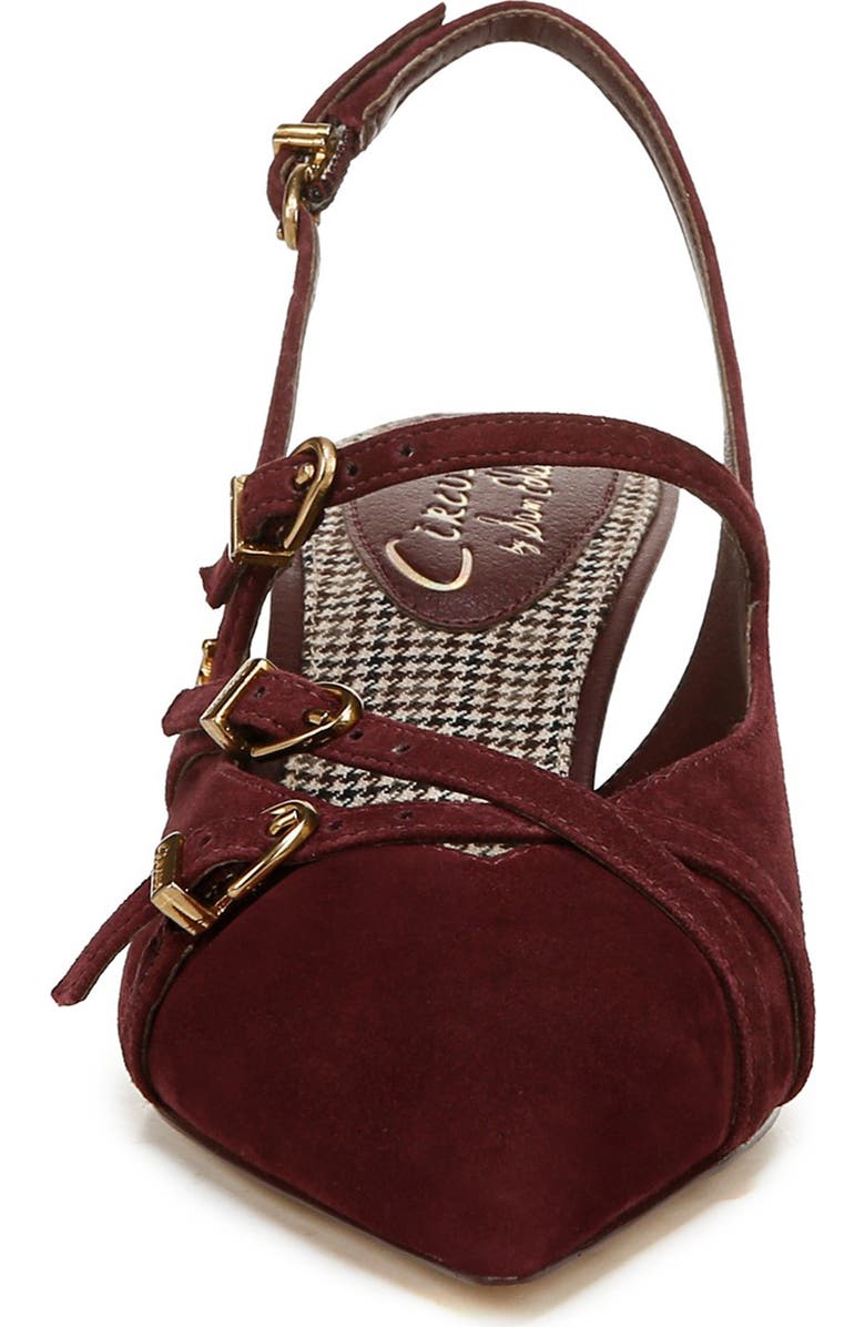 Circus NY by Sam Edelman Fraya Slingback Pointed Toe Pump, Alternate, color, Spiced Plum Cs
