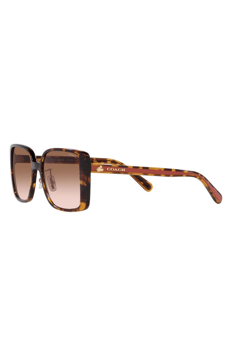 COACH 56mm Gradient Square Sunglasses, Alternate, color, Dark Tortoiseshell