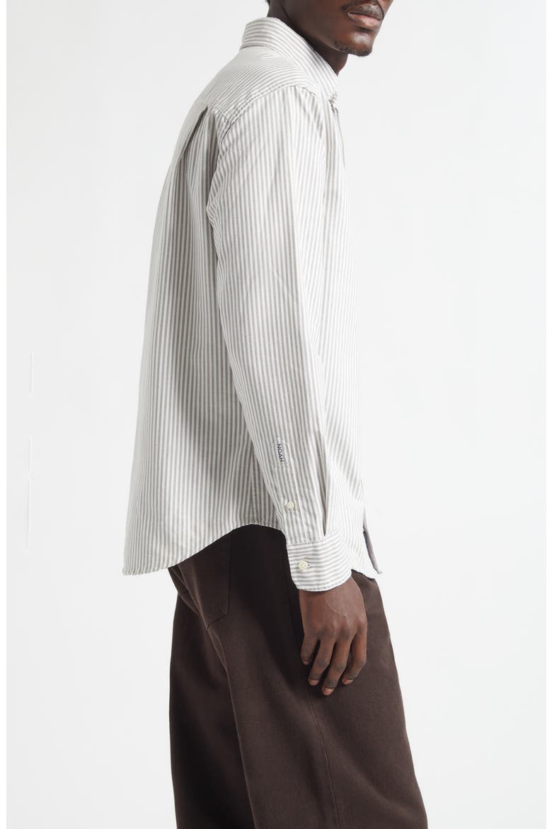 Oxford Cotton Button-Down Shirt, Alternate, color, WHITE / BROWN