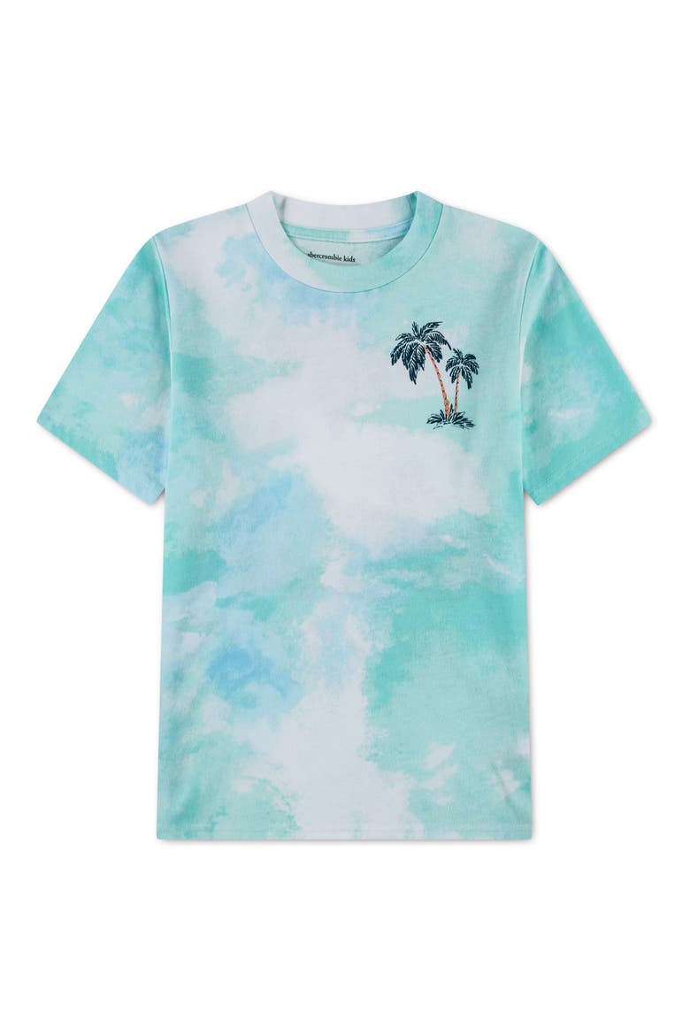 Kids' Palm Springs Graphic T-Shirt, Main, color, BRIGHT WHITE/TEAL