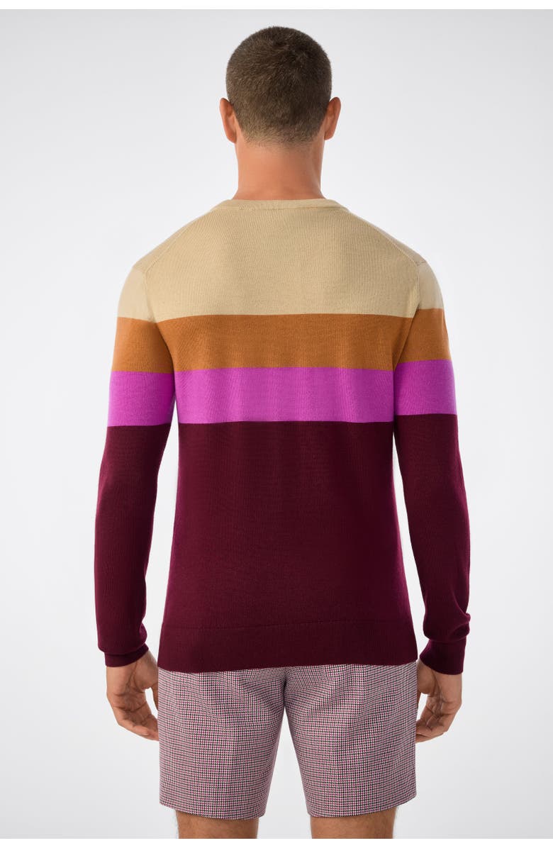 MR TURK Romero Crewneck Sweater 100% Merino Wool Elderberry Slim Fit, Alternate, color, Elderberry Multi