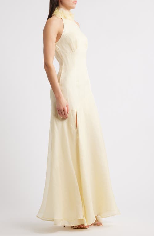Sonya Moda Noelle Floral Collar Sleeveless Gown In Yellow